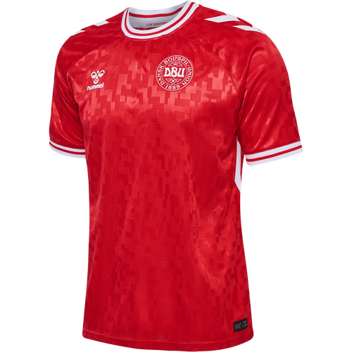 DBU hjemmebanetrøje 2024