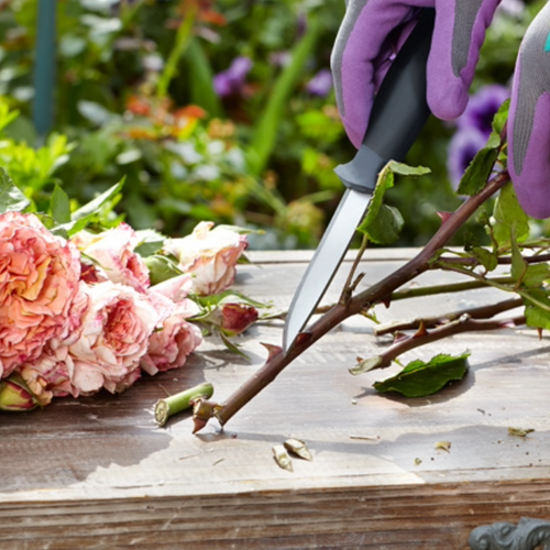 Outdoor kniv m. skede